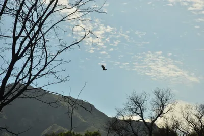 DSC_6452 (Large).JPG